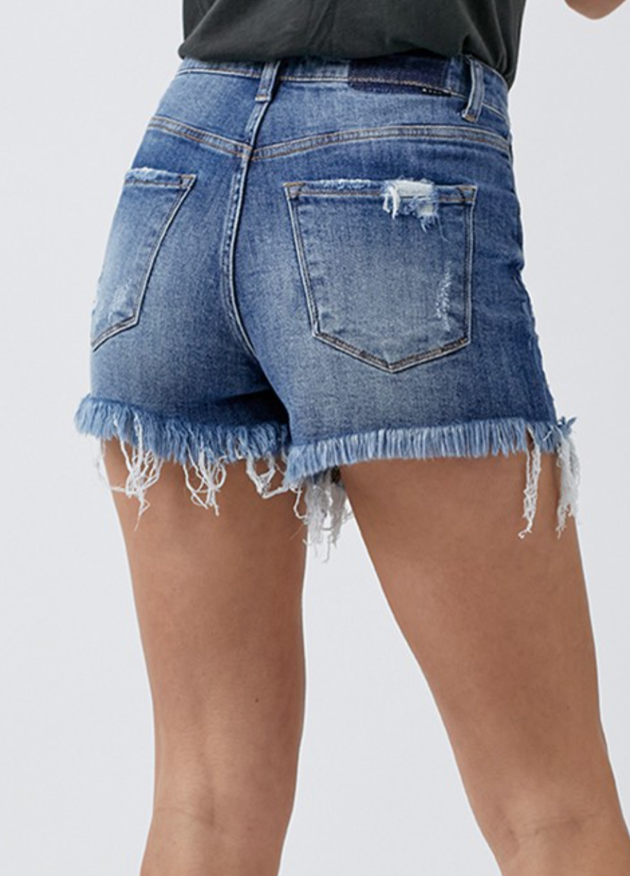 Dark High Rise Distressed Shorts