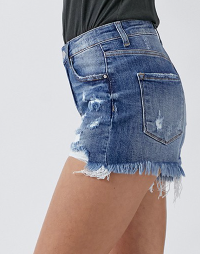 Dark High Rise Distressed Shorts